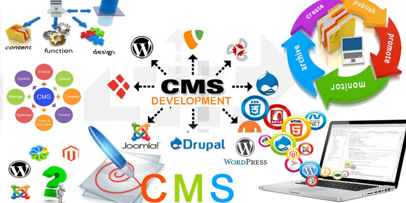 web Design and Development